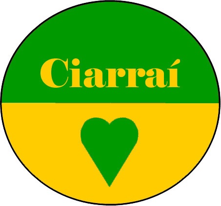 Kerry county button disk colour