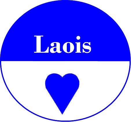 Laois county button disk