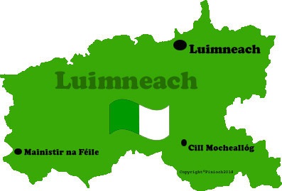 Limerick county map and flag with towns