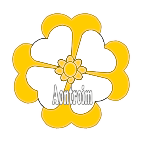 Antrim county badge flower rosette in county colours