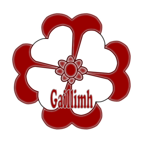 Galway county flower badge with county colours.