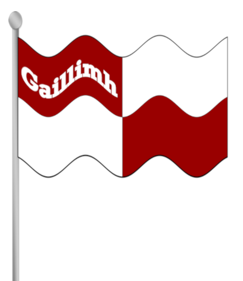 Galway county flag banner with text.