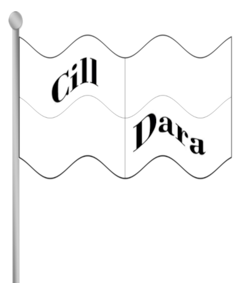 Kildare county flag with text.