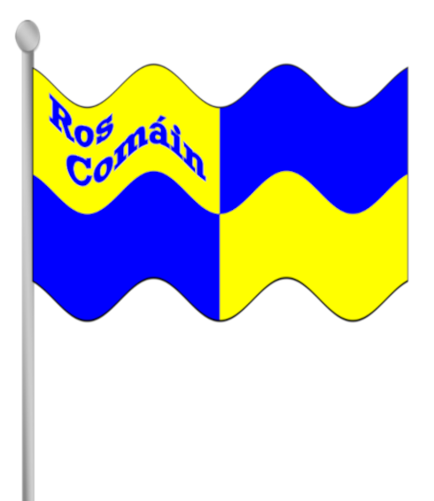 Roscommon county flag with text.