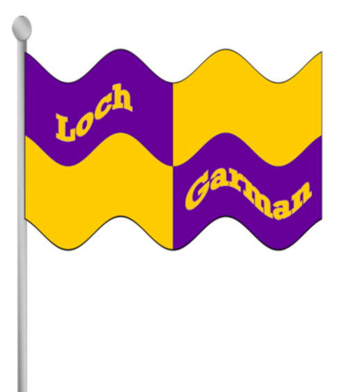 Wexford county flag with text.