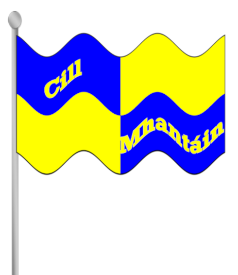 Wicklow county flag with text.