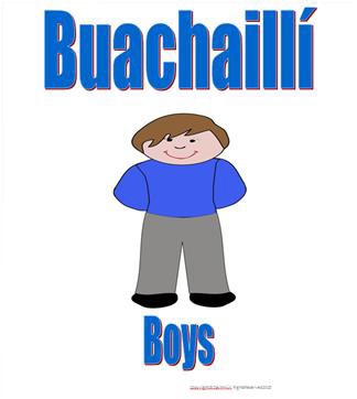 Ireland Irish infant school boys sign